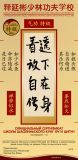 ShiYanbin сertif QI GONG 20x41 curve_4 ShiYanbin сertif QI GONG 20x41 curve_4