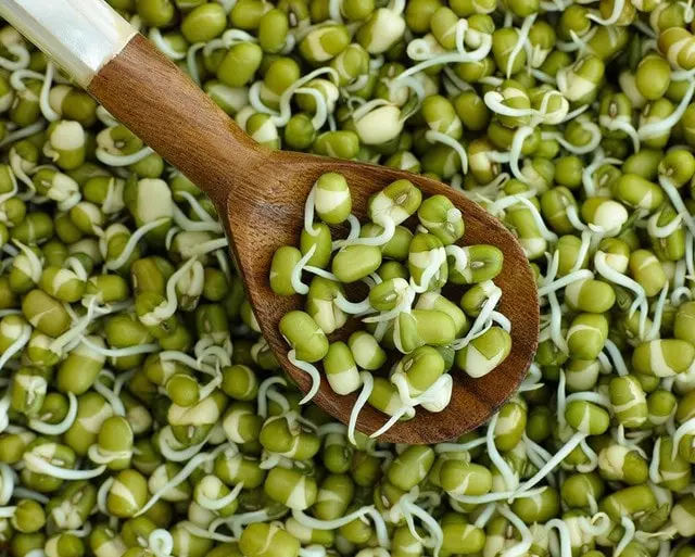 Проростки маша