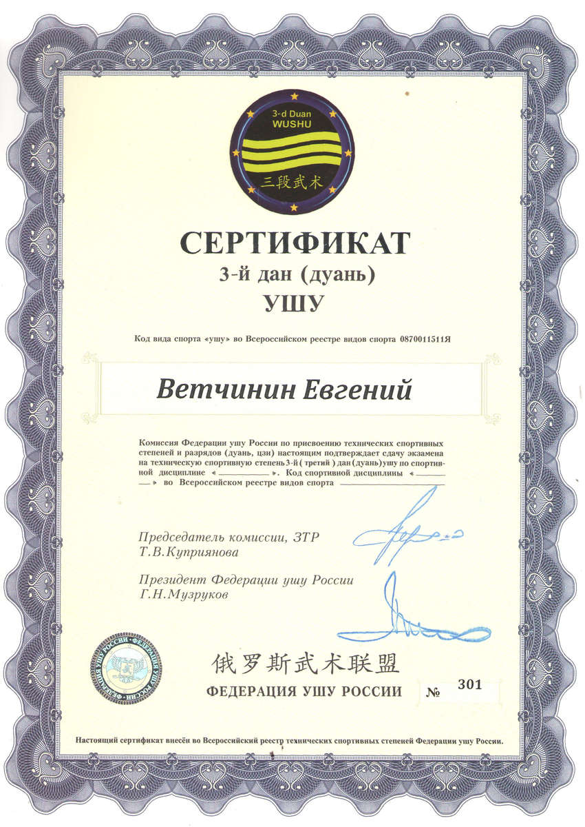 сертификат кунг-фу