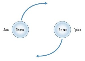 движение ци по меридианам школа ши янбина