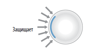 функция ци защита школа ши янбина