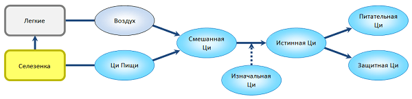 истинная ци чжэнь ци школа ши янбина