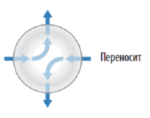 функция ци перенесение школа ши янбина
