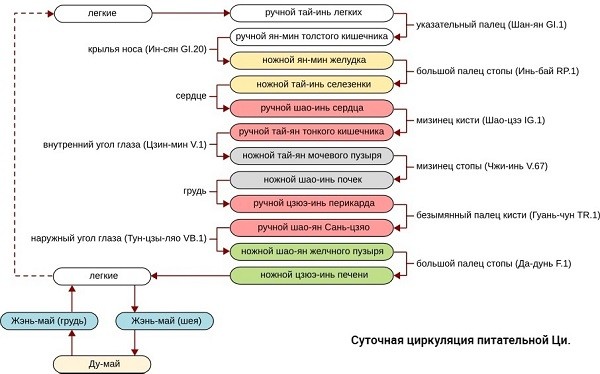 питательная ци ин ци школа ши янбина