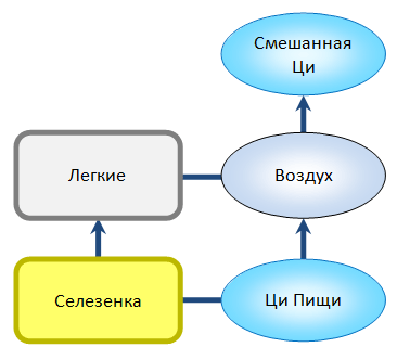смешанная ци цзун ци школа ши янбина