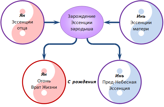 создание ци школа ши янбина