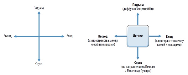 трансформация и движение Ци школа ши янбина