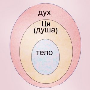 Ци в теле человека школа ши янбина
