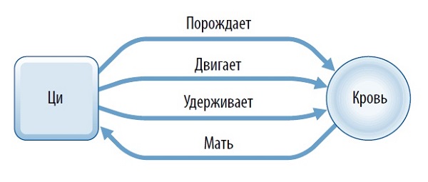 взаимодействие ци и крови школа ши янбина