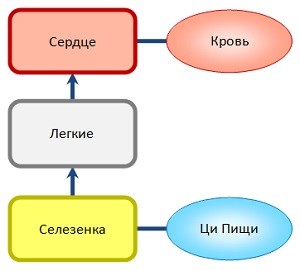 Ци пищи (Гу Ци) школа ши янбина
