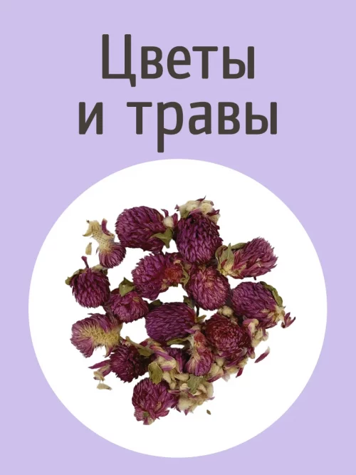 Цветы и травы