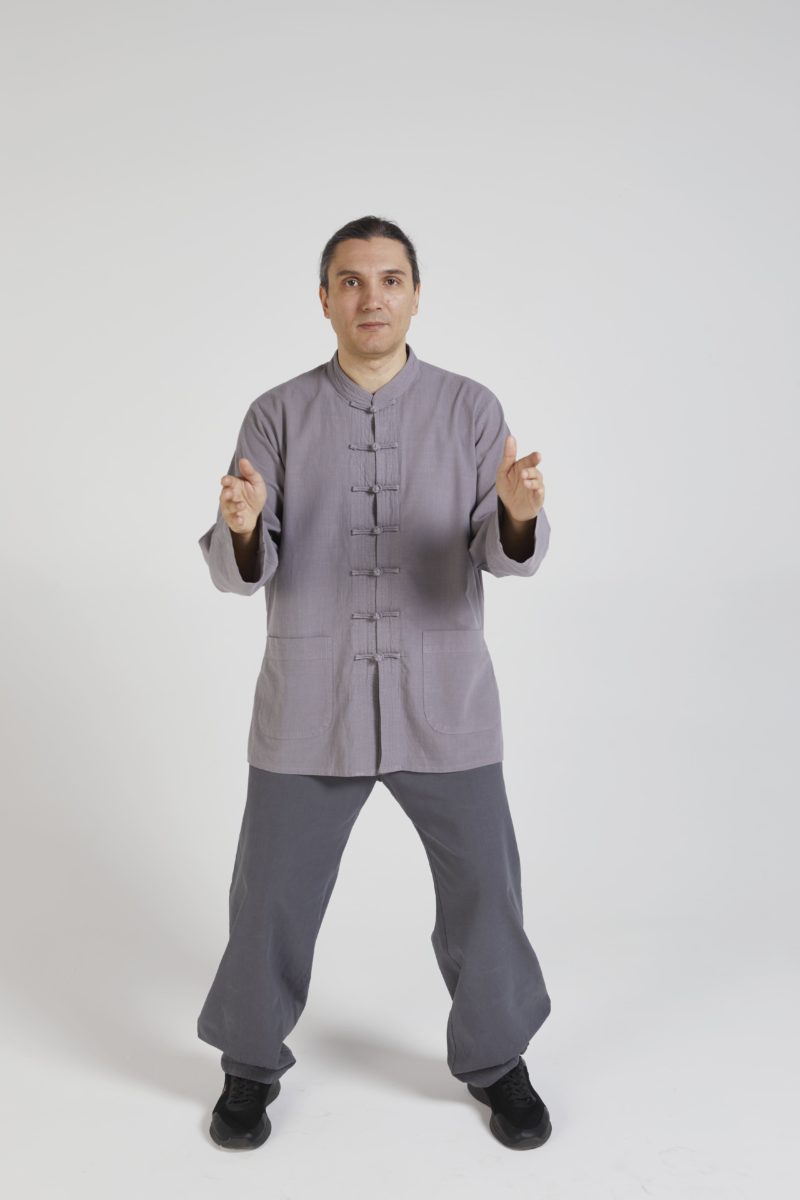 Роман Наумов тайцзи