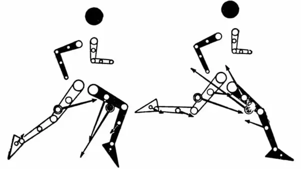 Здоровье стоп