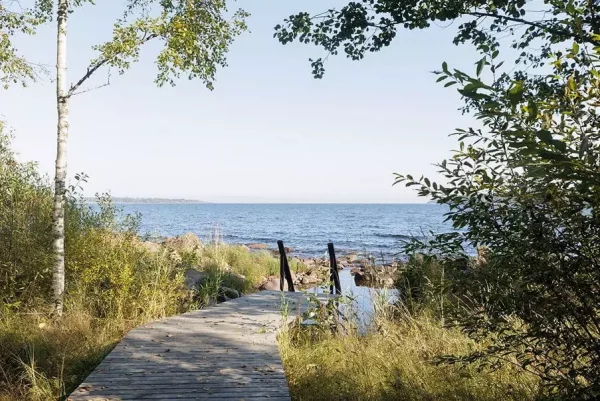 Цигун и тайцзи на Ладожском озере