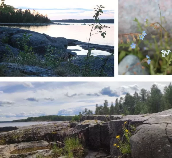 Цигун и тайцзи на Ладожском озере
