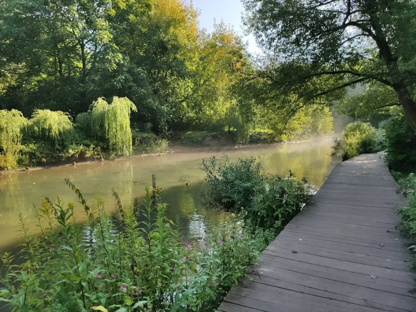 Парк Покровское-Стрешнево