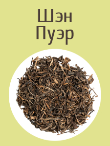Шэн пуэр